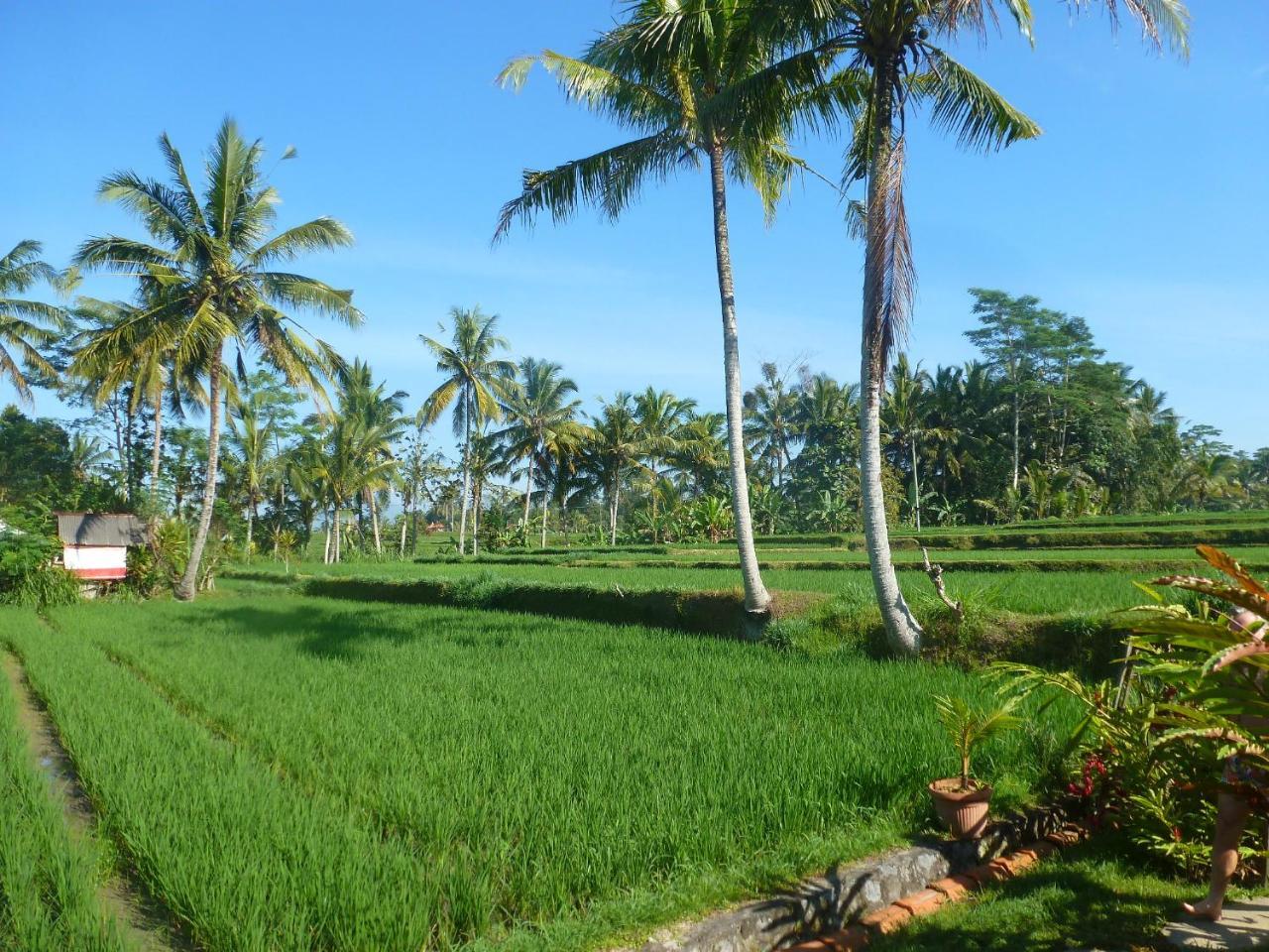 Готель Bali Sawah Indah Убуд Екстер'єр фото