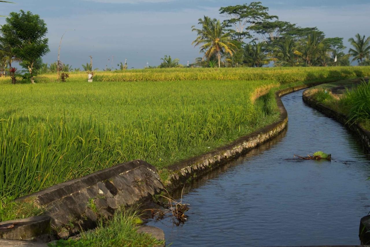 Готель Bali Sawah Indah Убуд Екстер'єр фото
